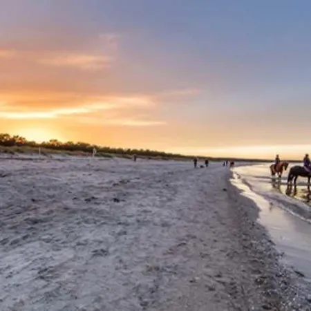 Prázdninový dům Insel Ruegen Strandhaus Bernstein Sauna Whirlpool *